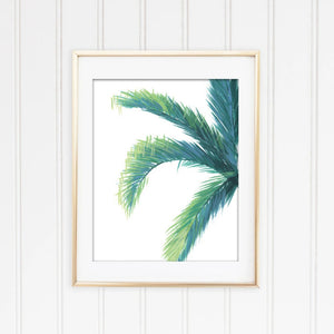 Palm Tree Framed | Fine Art Print