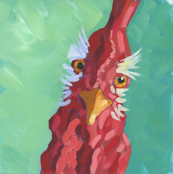 Rooster - November 2023 Small Study