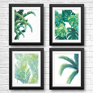 Leaf Wall Art Prints | Fern, Palm, Monstera, Banana