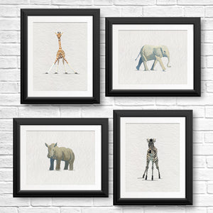 Baby Animal Art Prints