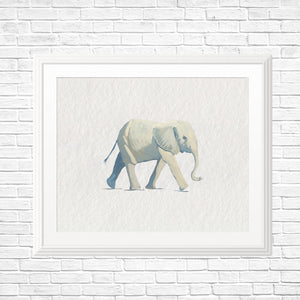 Baby Animal Art Prints