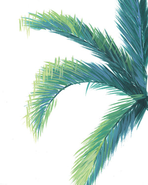 Palm Tree Unframed | Fine Art Print
