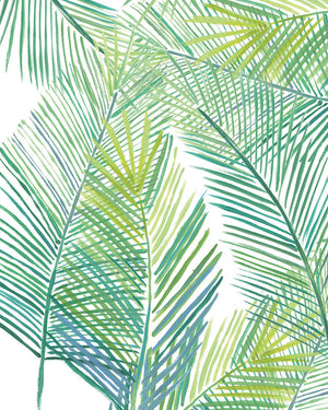 Tropical Fern Unframed | Fine Art Print